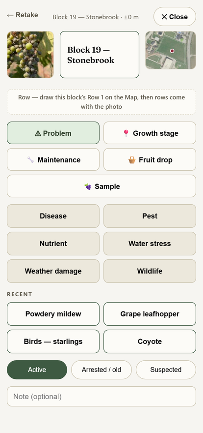 VITISOS phone scouting screen used from vineyard rows